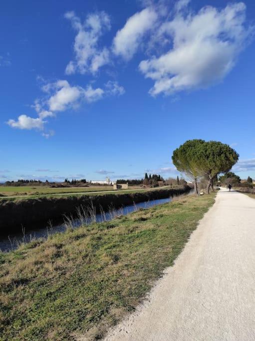Mobil-Home Dans Un Beau Cadre A 15 Km Des Plages. Lunel  Extérieur photo